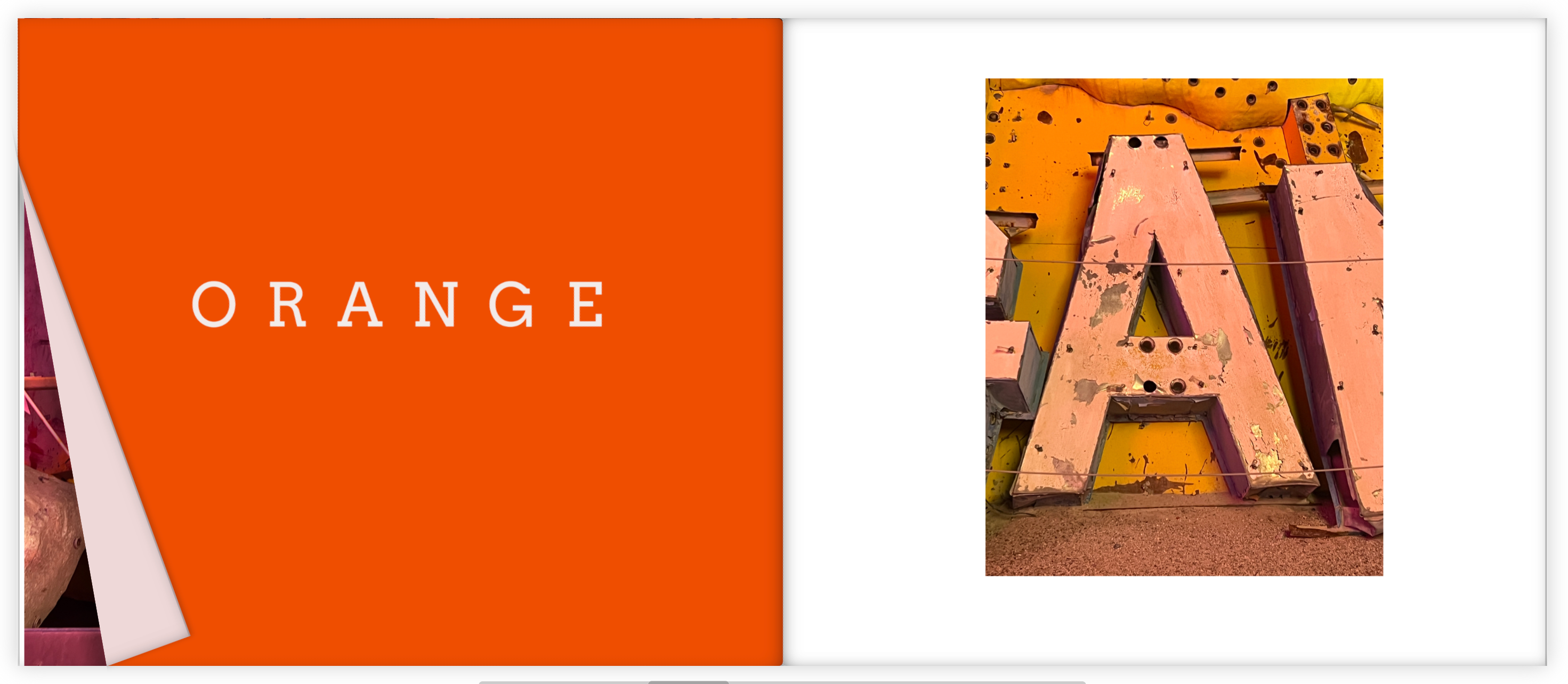 A Colorful Life Coffee Table Book