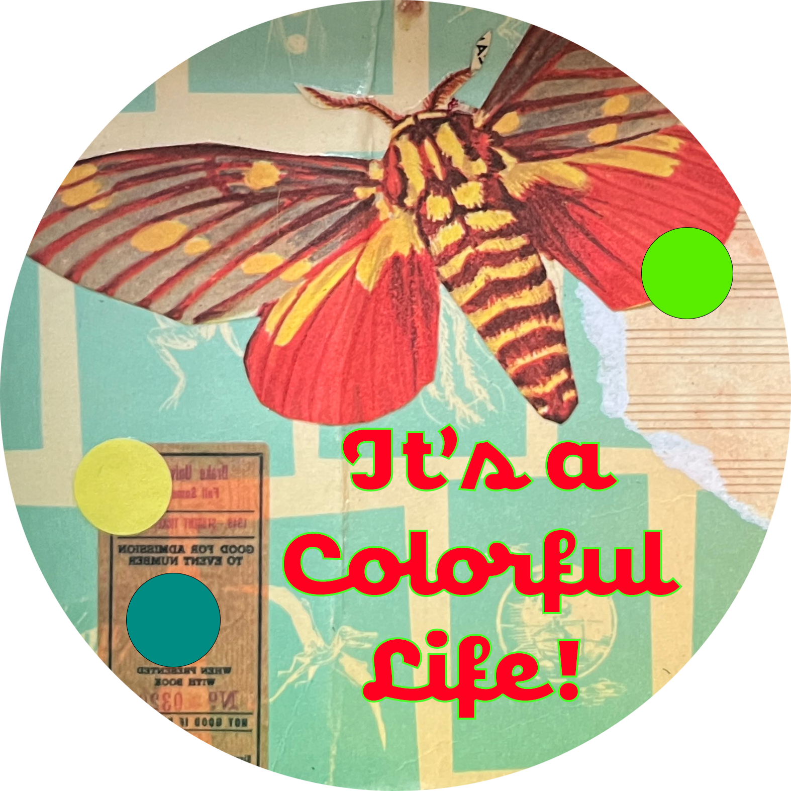 It's a Colorful Life!